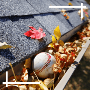 baseball in gutter filled with leaves close up