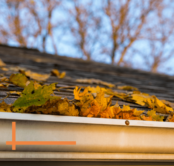 Residential Roofing Tips for the Fall Season