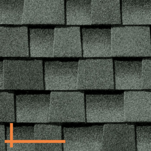 close up of shingles