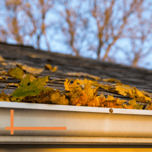 leaves in gutter close up with trees in the background