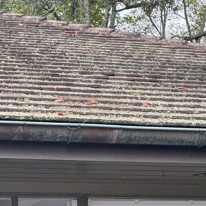 image of a brown roof with debris built up on it 