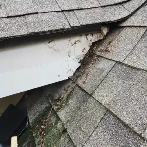Moss, debris build-up, and water damage on residential roof illustrating how climate impacts what is the lifespan of a roof by Skyline Contracting
