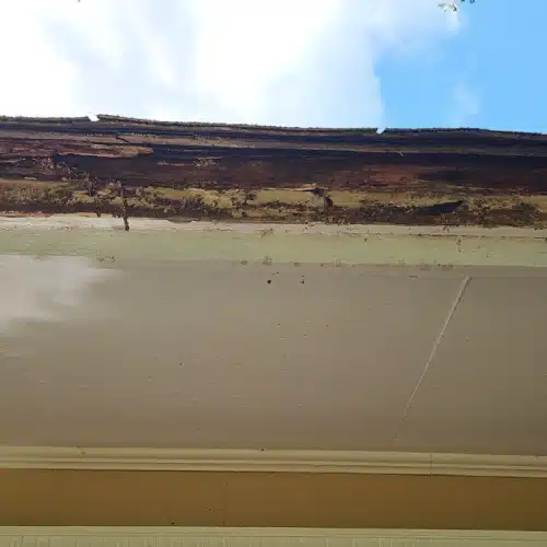 Severe rot and water damage on roof edge demonstrating factors that shorten what is the lifespan of a roof by Skyline Contracting