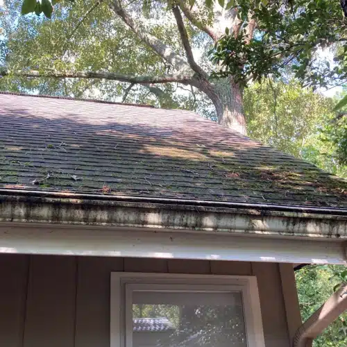Residential roof with moss and gutter buildup under tree cover reducing what is the lifespan of a roof by Skyline Contracting