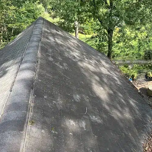 Aging and damaged roof shingles with visible moss and missing granules, clear signs you need a new roof and evidence of damaged shingles