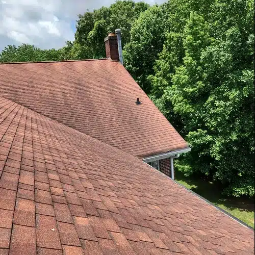 Expansive view of aging shingle roof with slight granule loss and weathering, indicating signs you need a new roof and potential for damaged shingles