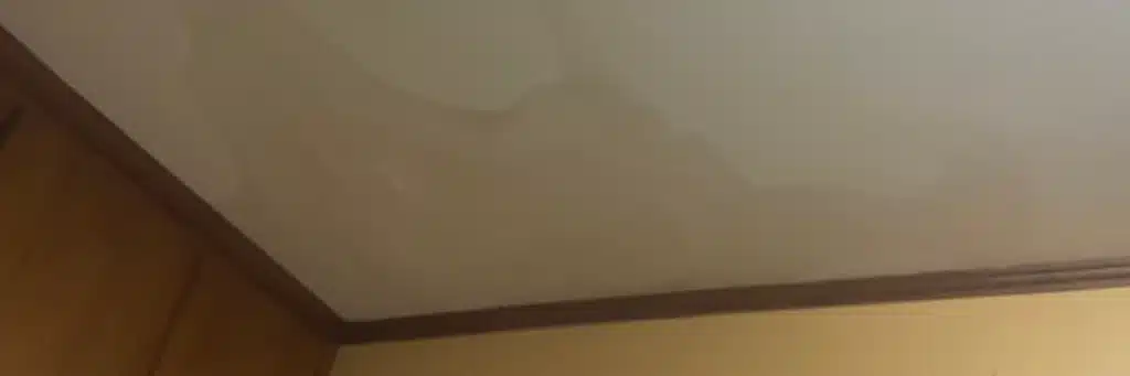 Large, irregular water stains on interior ceiling near crown molding indicating roof leak and signs you need a new roof