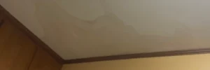 Large, irregular water stains on interior ceiling near crown molding indicating roof leak and signs you need a new roof