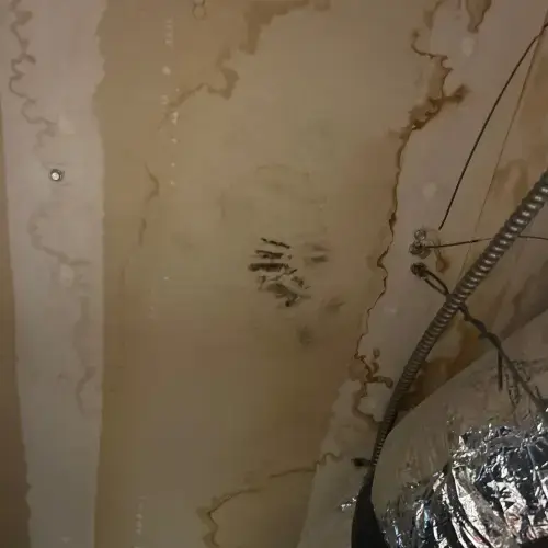 Extensive water stains and potential mold on attic ceiling, indicating need for cost-effective roof repair by Skyline Contracting