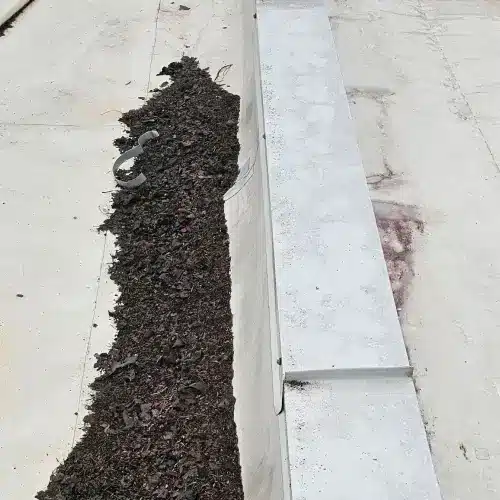 Commercial roof maintenance removing organic debris from roof drainage system by Skyline Contracting