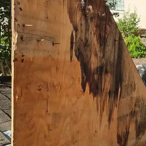 Water-stained plywood roof decking showing visible rot and signs of costly roof leak repair, displayed by Skyline Contracting