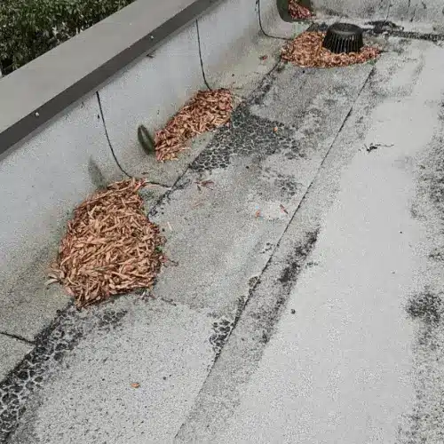 Flat commercial roof with debris buildup around drains illustrating the importance of regular maintenance for higher ROI – Skyline Contracting.