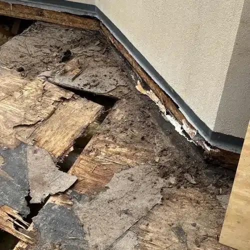 Failing residential flat roof decking with severe wood rot and water intrusion by Skyline Contracting | Roofing Contractor & Remodeler in GA