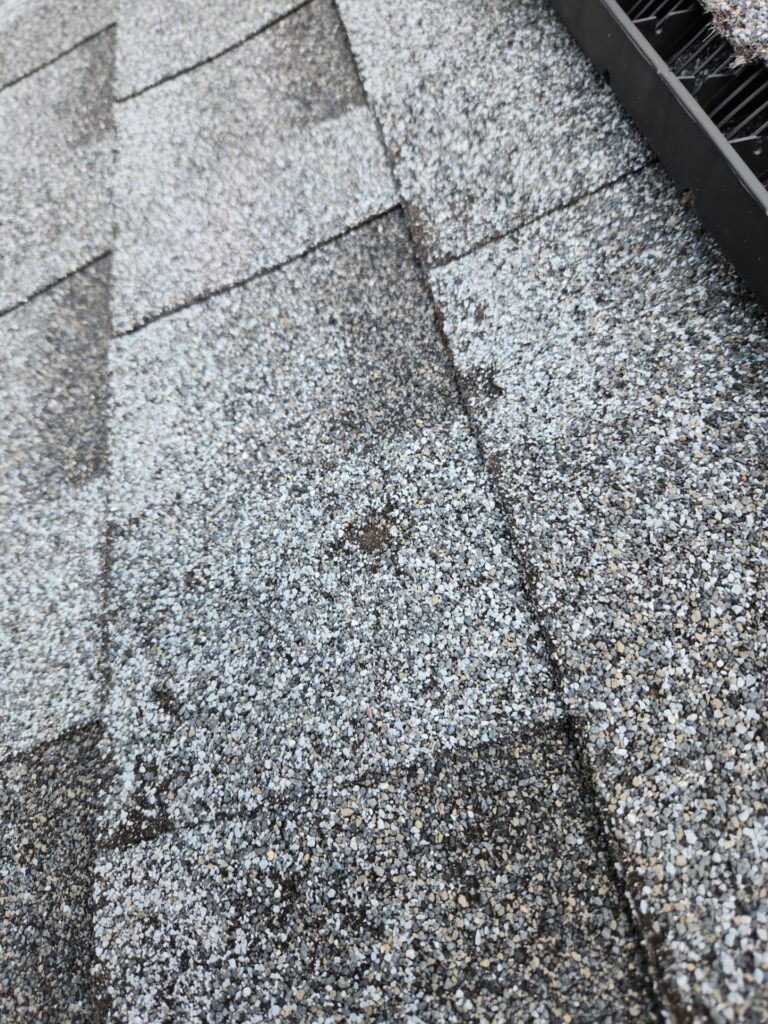 A close-up view of grey architectural asphalt shingles displaying granule loss from hail impact near a roof vent to meet roof damage insurance claim rules roofing service in Gainesville by Skyline Contracting